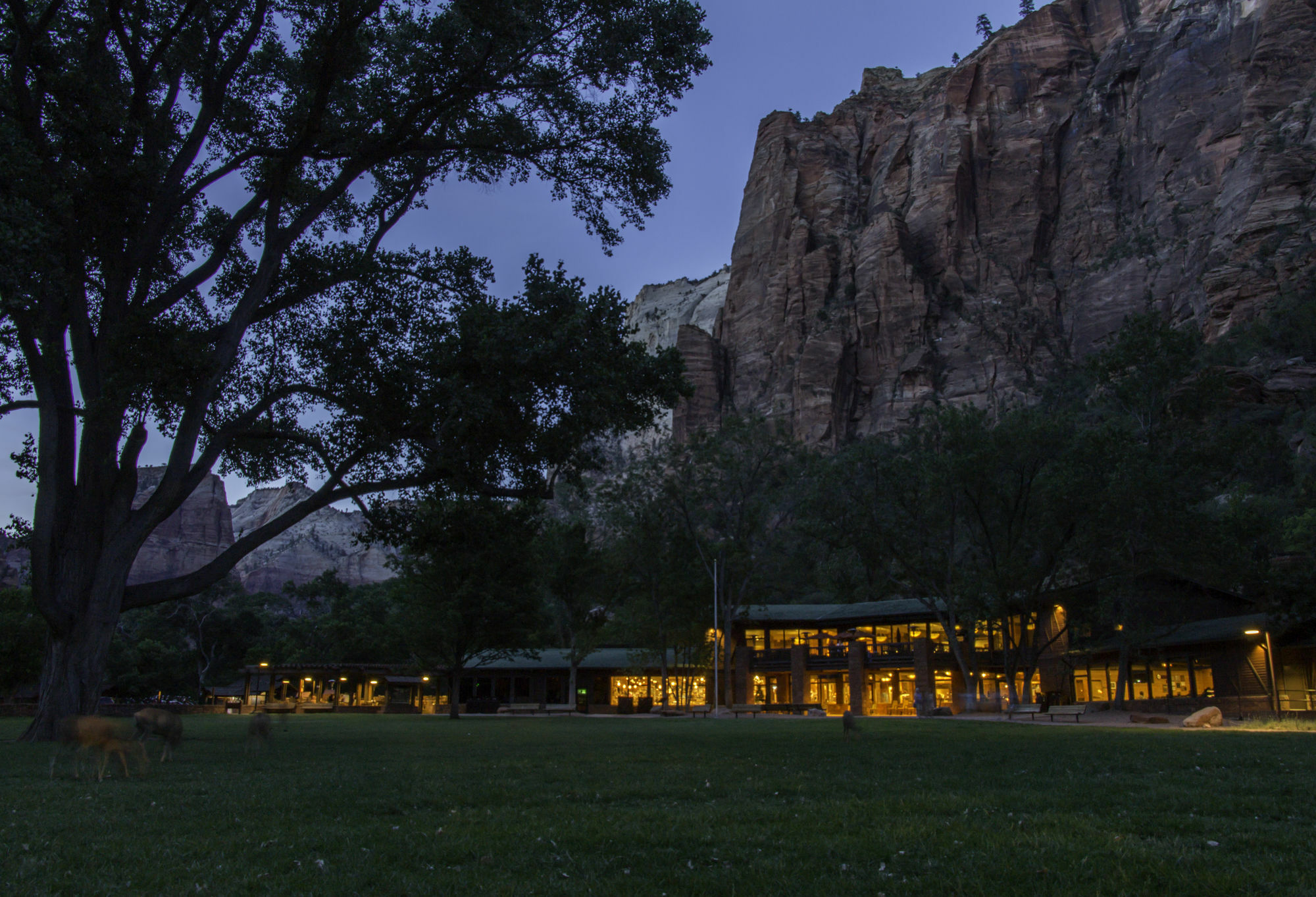 Zion Lodge Springdale Bagian luar foto