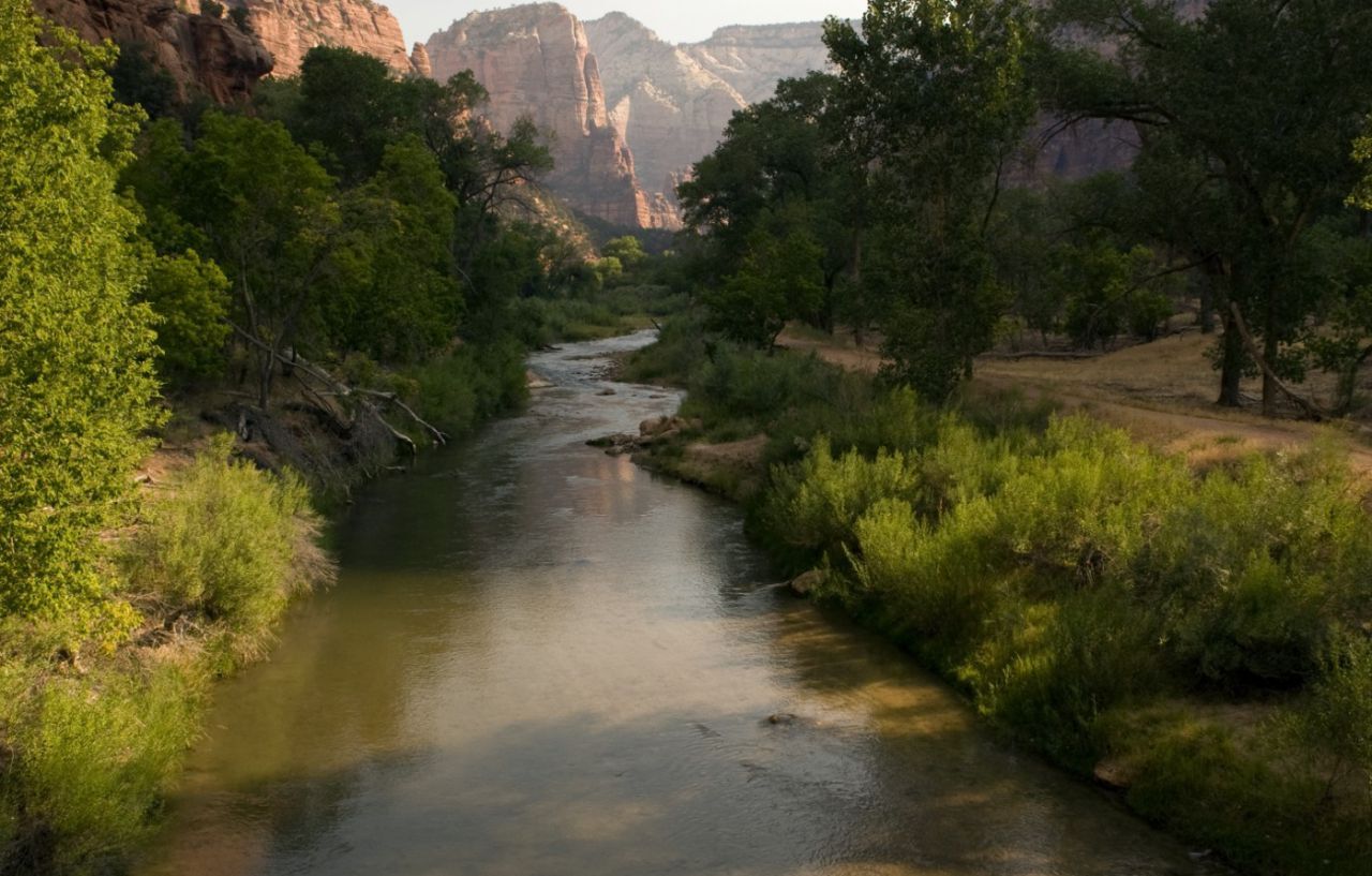 Zion Lodge Springdale Bagian luar foto